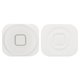 Пластик кнопки HOME для Apple iPhone 5, белый